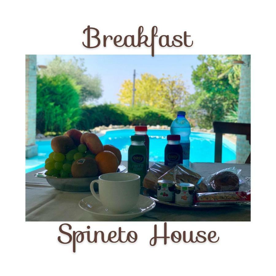 Spineto House Hotel Spineto Scrivia ภายนอก รูปภาพ