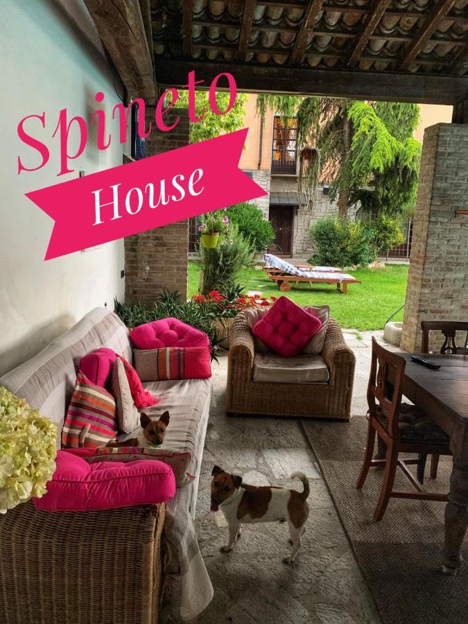Spineto House Hotel Spineto Scrivia ภายนอก รูปภาพ